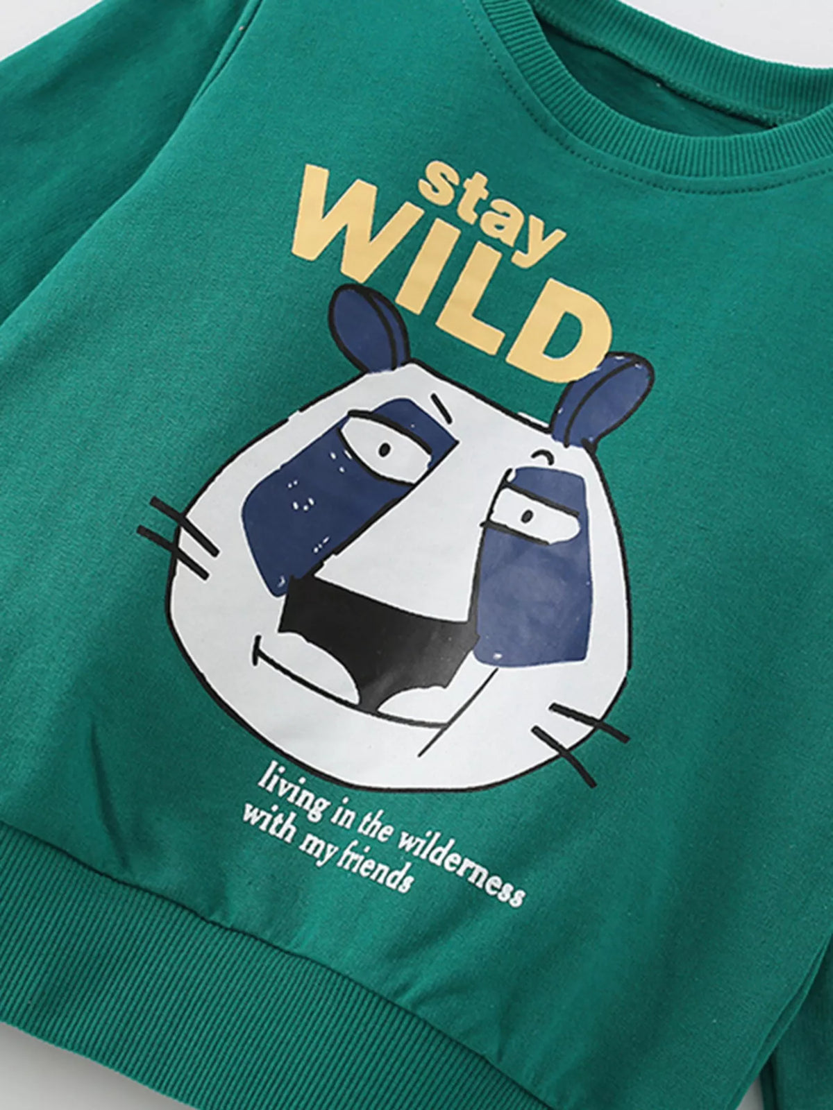 Kids Graphic Sweatshirt | Soft Round Neck Jumper