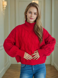 Cable-Knit Turtleneck Long Sleeve Sweater Trandify Deal