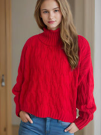 Cable-Knit Turtleneck Long Sleeve Sweater Trandify Deal