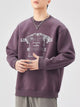 Men's Plus Size Oversized Crewneck Sweatshirt