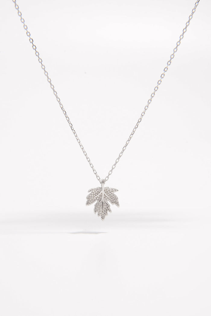 925 Sterling Silver Zircon Maple Leaf Necklace Trandify Deal