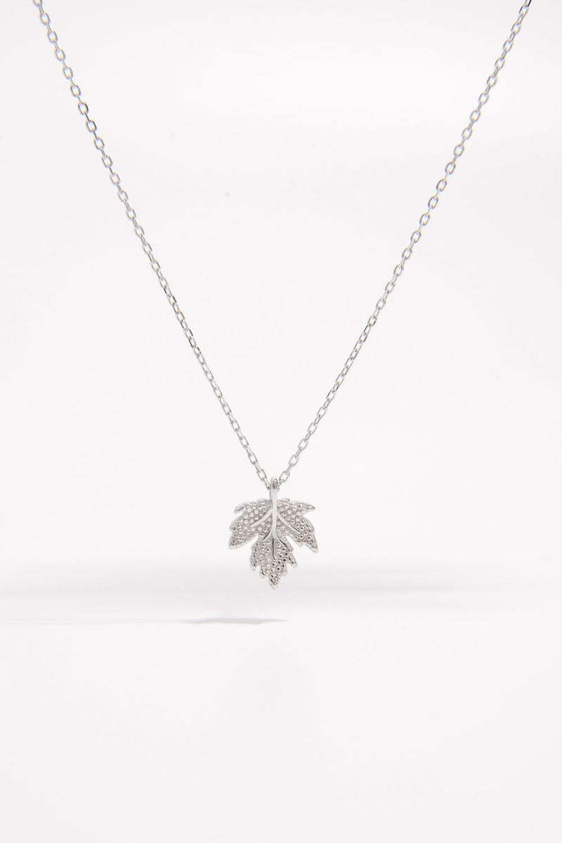 925 Sterling Silver Zircon Maple Leaf Necklace Trandify Deal