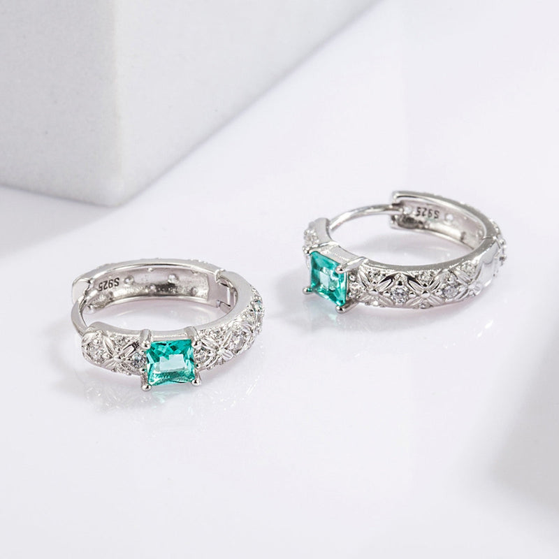 925 Sterling Silver Inlaid Zircon Earrings Trandify Deal