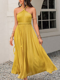 Swiss Dot Backless Sleeveless Maxi Dress Trandify Deal
