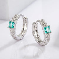 925 Sterling Silver Inlaid Zircon Earrings Trandify Deal