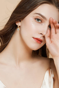 2 Carat Moissanite 925 Sterling Silver Drop Earrings Trandify Deal