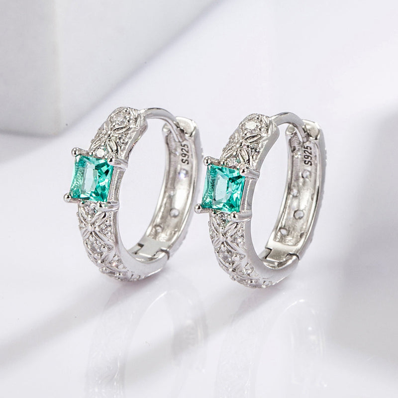 925 Sterling Silver Inlaid Zircon Earrings Trandify Deal