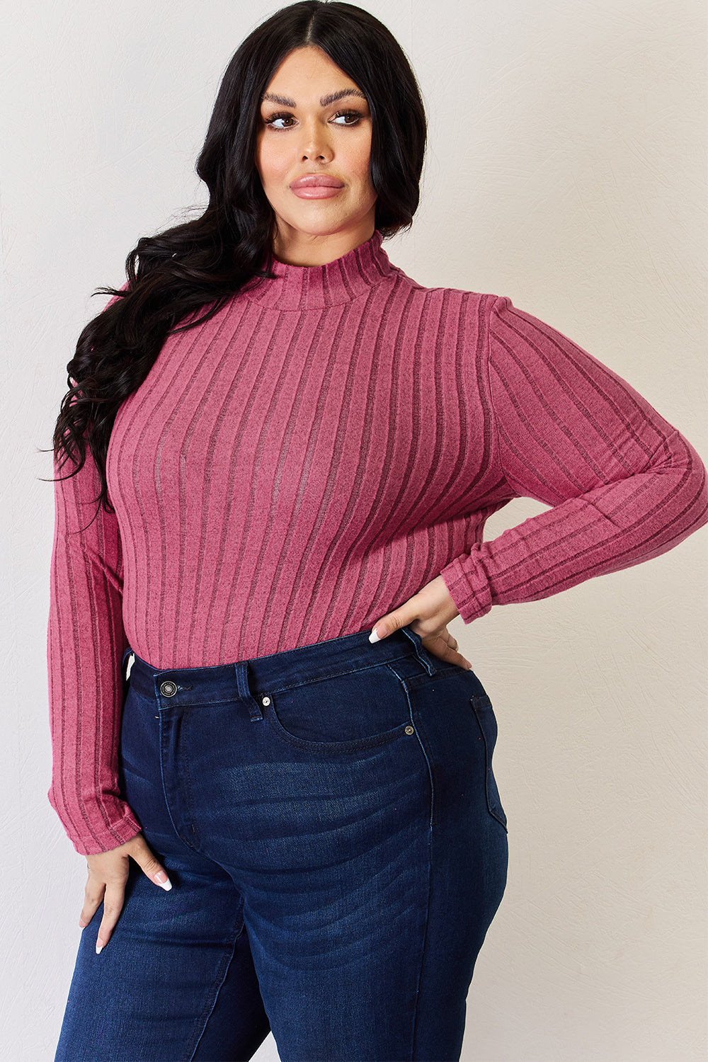Basic Bae Full Size Ribbed Mock Neck Long Sleeve T-Shirt Trandify Deal