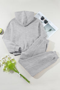 Dropped Shoulder Long Sleeve Hoodie and Pants Active Set Trandify Deal