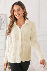 Textured Collared Neck Long Sleeve Shirt Trandify Deal