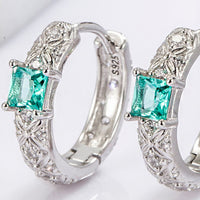 925 Sterling Silver Inlaid Zircon Earrings Trandify Deal