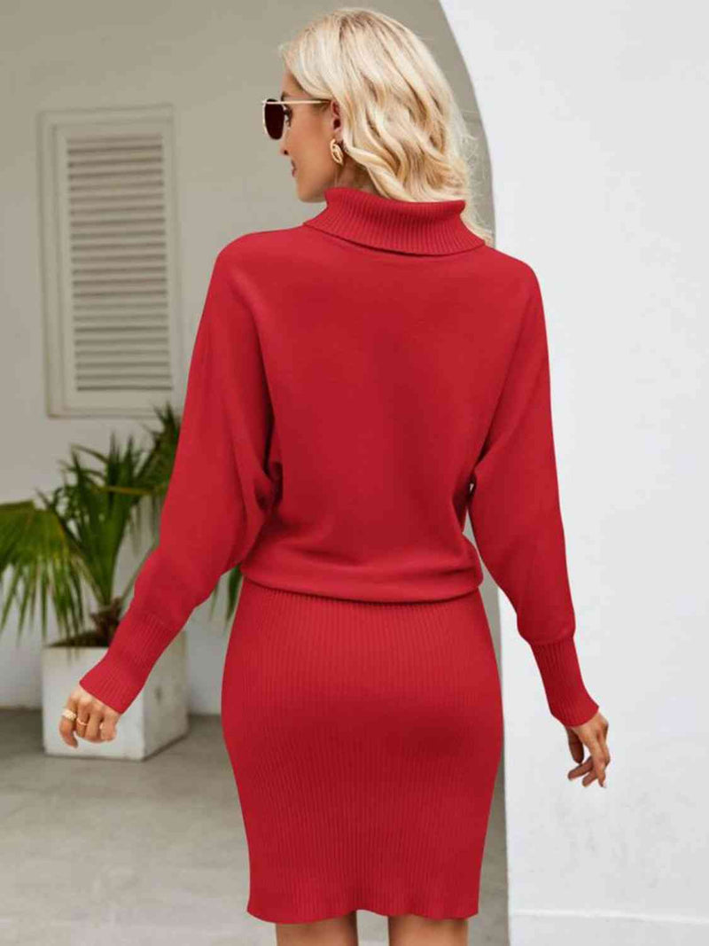 Turtle Neck Long Sleeve Ribbed Sweater Dress Trandify deal
