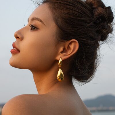 Stainless Steel Dangle Earrings Trandify deal