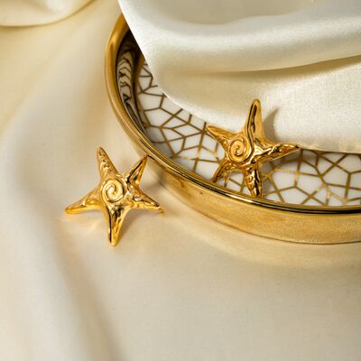 Stainless Steel Star Shape Earrings Trandify deal