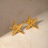 Stainless Steel Star Shape Earrings Trandify deal