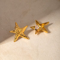 Stainless Steel Star Shape Earrings Trandify deal