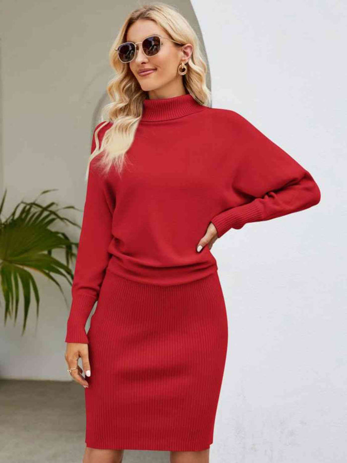 Turtle Neck Long Sleeve Ribbed Sweater Dress Trandify deal