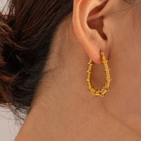 Gold-Plated Stainless Steel Hoop Earrings Trandify deal