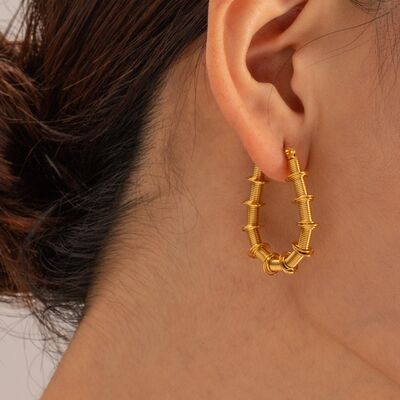 Gold-Plated Stainless Steel Hoop Earrings Trandify deal